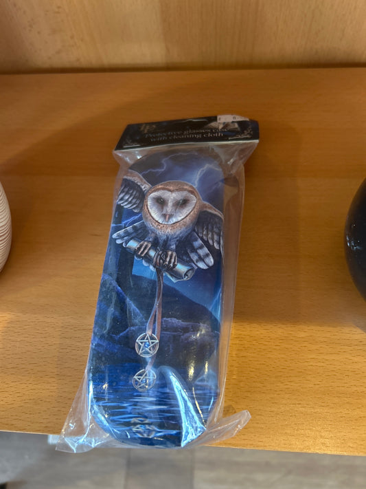 Owl glasses case