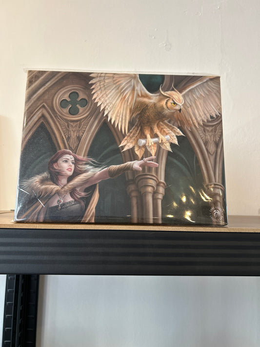 Owl messenger canvas
