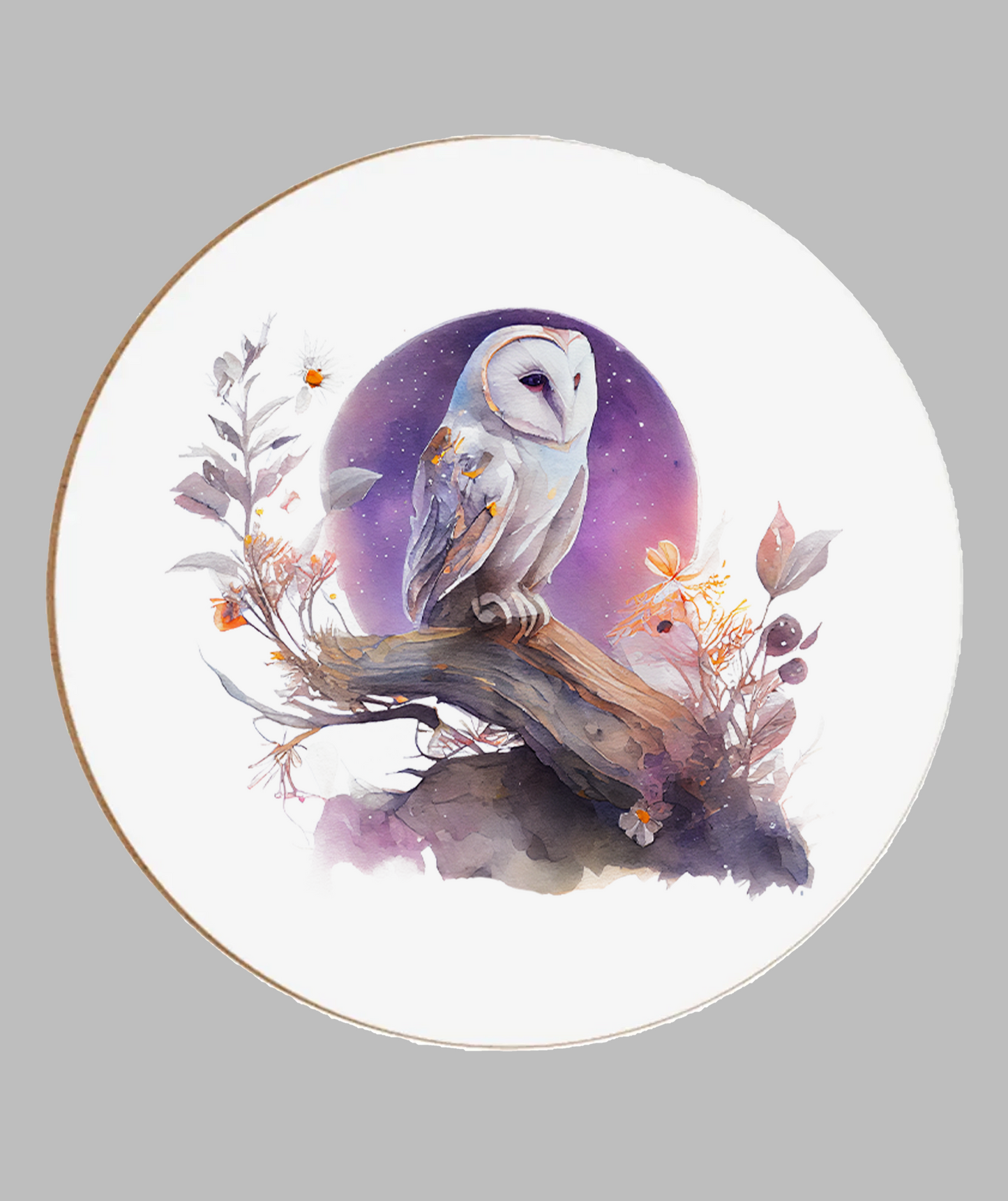 Barn Owl Coaster