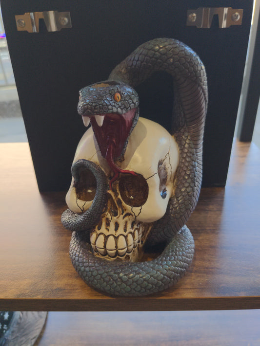 Skull with snake backflow